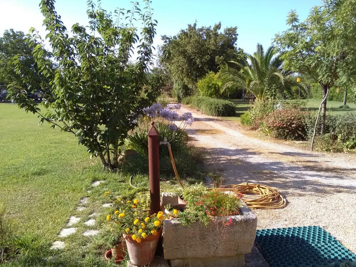 Casetta Vacanza In Campagna Aradeo Ngoại thất bức ảnh